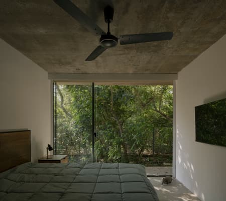 A Forest in the House